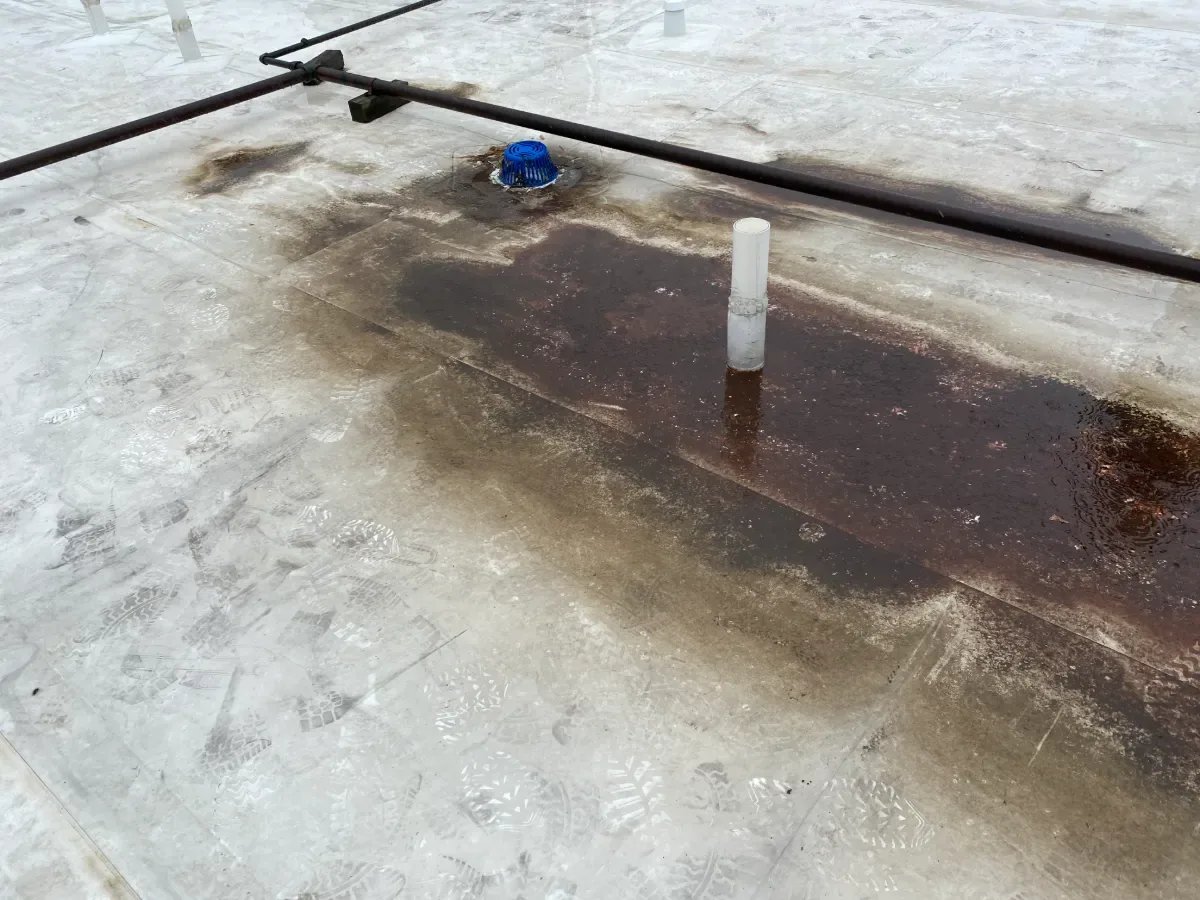 Ponding Water Roof Repair in Cape Coral, FL