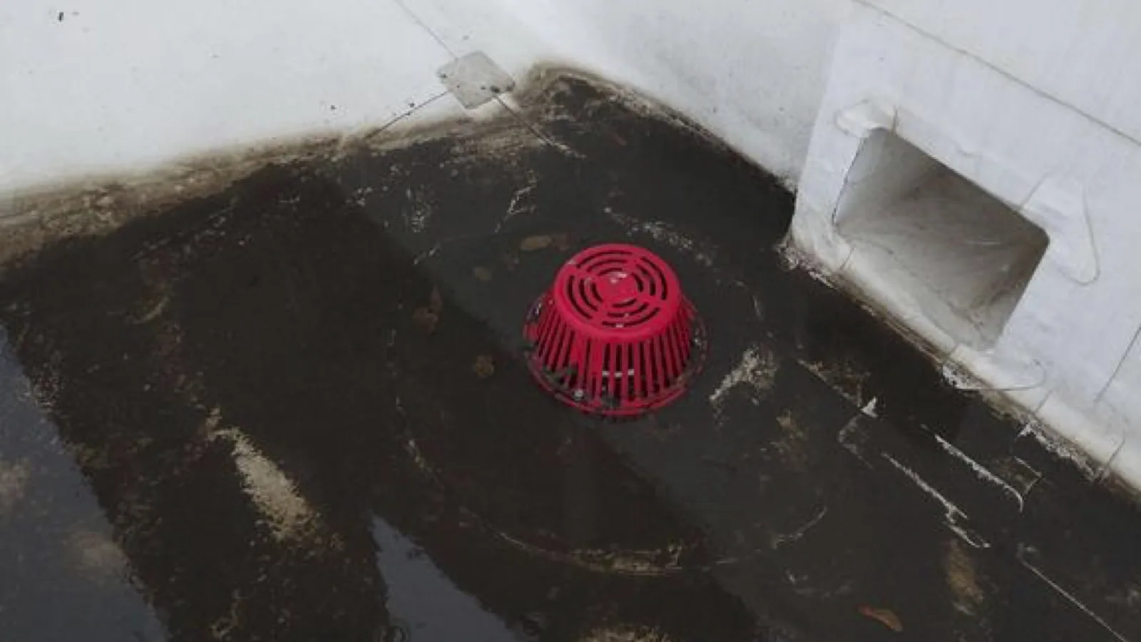 Commercial Roof Drain and Scupper Repair in Cape Coral, FL